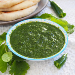 Cilantro Mint Chutney