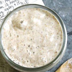 How To Make A Sourdough Starter From Scratch