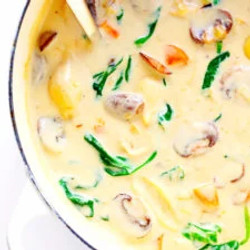 Creamy Chicken Marsala Soup