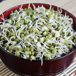 Mung Bean Sprouts, How To Sprout Mung Beans