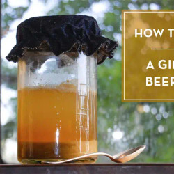 Proper Old-fashioned Ginger Beer Using A Bug (brewing ingredients x6 for 30L Brew Barrell)