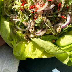 Laab Recipe