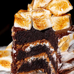 S&apos;mores Cake