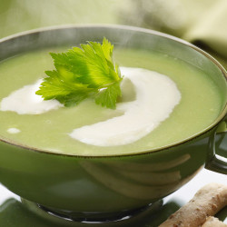 Puréed Cream Of Celery Soup