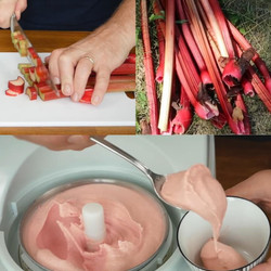 Rhubarb Sorbet 🍧🌿