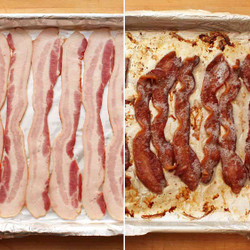 Bacon