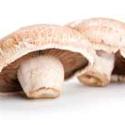 Golden Mushroom Soup Recipe