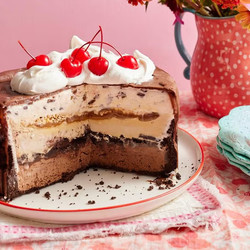 Ice Cream Cake