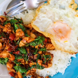 Authentic Thai Basil Chicken Recipe (ผัดกระเพราไก่)