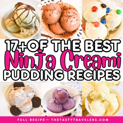 Ninja Creami Pudding Recipes