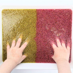 Chia Seed Sensory Bin