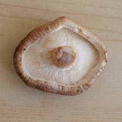 Water Sautéed Mushrooms