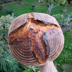 Copy of My Sourdough Guide
