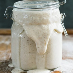Sourdough starter/feeding schedule