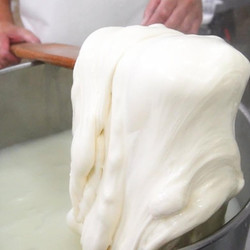 Homemade Fresh Mozzarella Cheese Recipe, Without Rennet 🧀