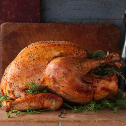 Dry-brined Spiced Citrus Turkey
