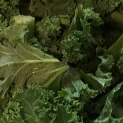 Green Smoothie Recipe For Fasting Retreat