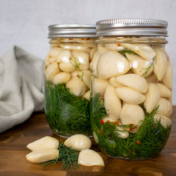 Easy 5-ingredient Quick Pickled Garlic