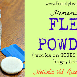 Homemade Flea/Bug Powder