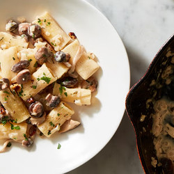 Creamy Mushroom Pasta