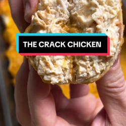 Creamy Crack Chicken Enchiladas