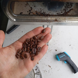 SL28 Costa Rica Natural
