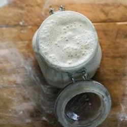 Beginner Sourdough Starter Recipe