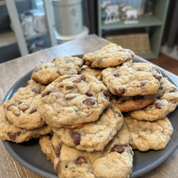 🍪 Sour dough DISCARD COOKIES Credit : Carolyn Roberts