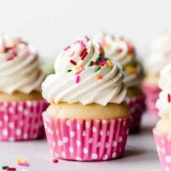 Not-so-sweet Whipped Frosting