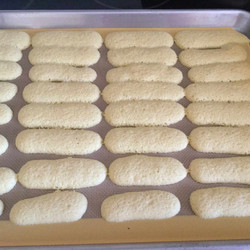 Copy of Homemade Lady Fingers