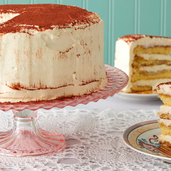Tiramisu Cake