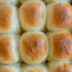 One Hour Sourdough Discard Rolls