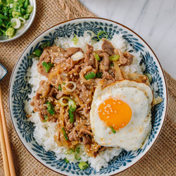 Gyudon (japanese Beef &amp; Rice Bowls)
